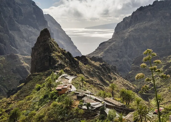 Sheraton La Caleta Resort&spa